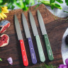 Набор ножей Opinel №112, нержавеющая сталь, цвета пейзажа 003207